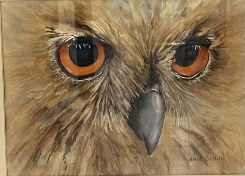Artist Janet Brown - 1st Place in the Birds of a Feather  Art Exhibit & Juried Competition - Camden Art Shoppes