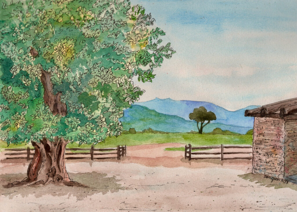 Art by Christy Greer