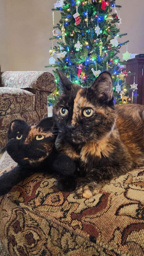 Commission Art by Yvonne DeBandi