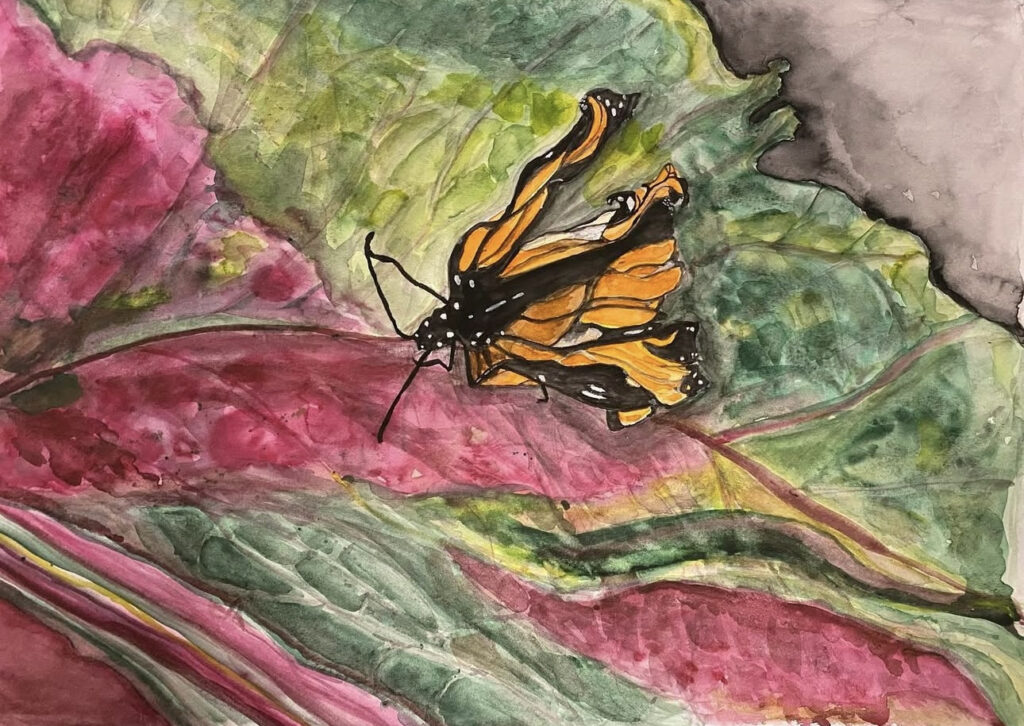 Art by Clare Marlow-Eilbeck